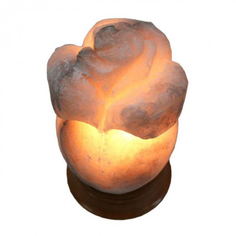 Солевая лампа Wonder Life “Роза” (2-3 кг)